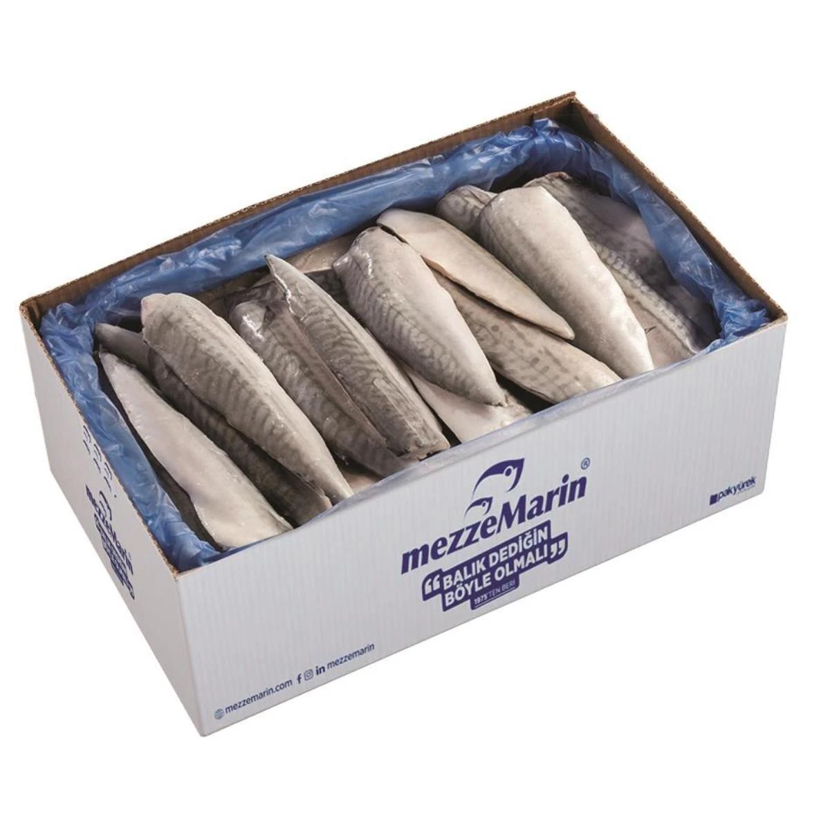 Uskumru Fileto Donuk Dökme